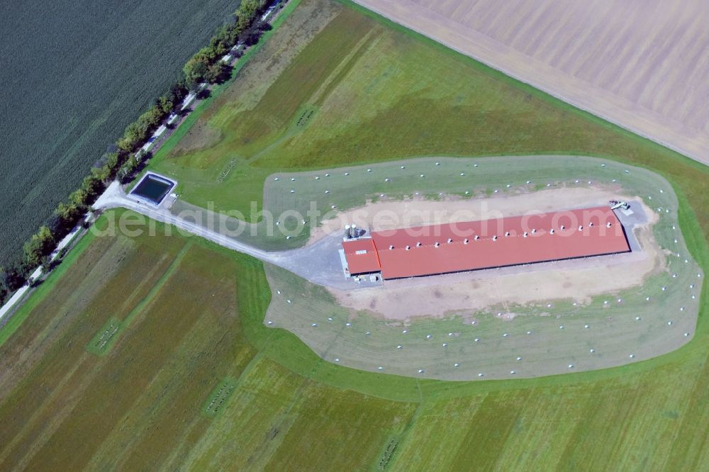 Aerial image Farnstädt - Stalled equipment for poultry farming and poultry production in in the state Saxony-Anhalt, Germany