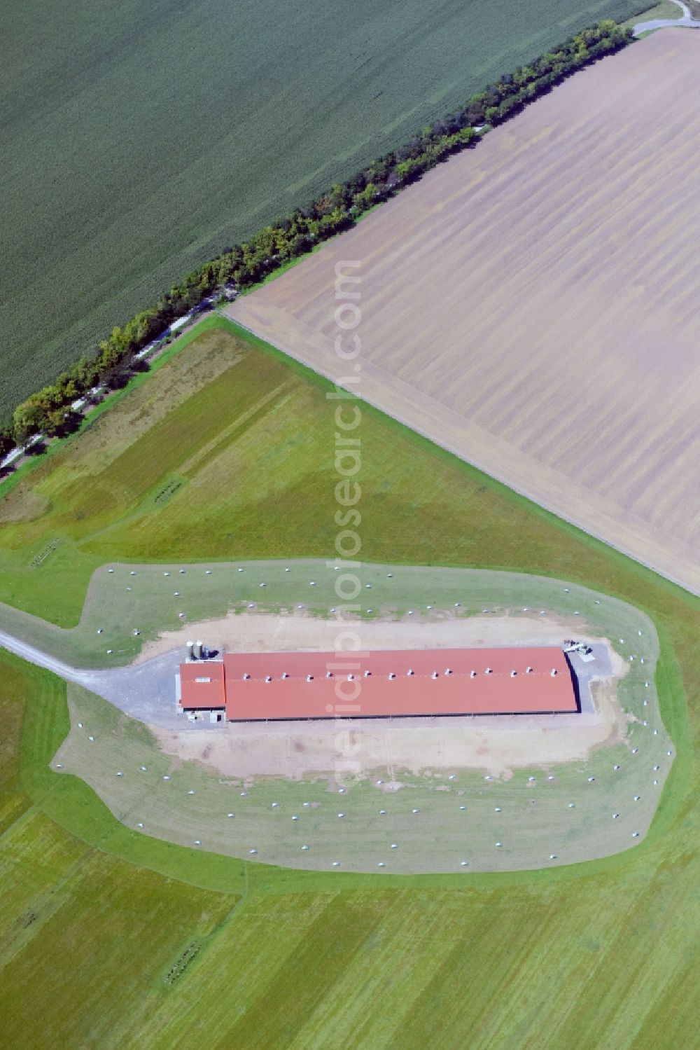 Aerial photograph Farnstädt - Stalled equipment for poultry farming and poultry production in in the state Saxony-Anhalt, Germany