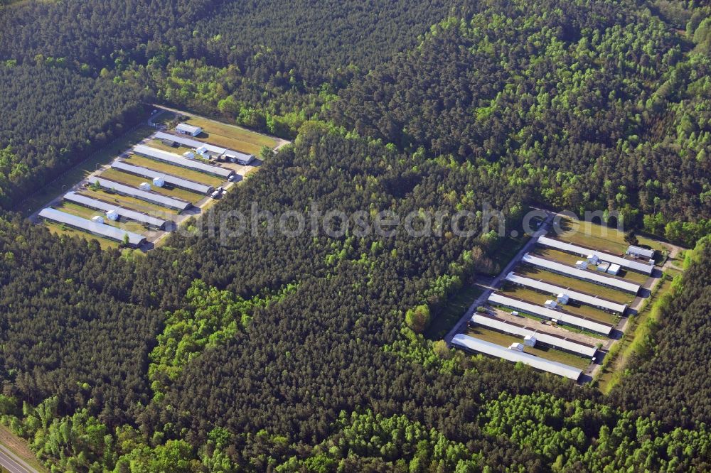 Aerial image Stahnsdorf - Stalled equipment for poultry farming and poultry production Storkower Gefluegelmast GmbH in Stahnsdorf in the state Brandenburg