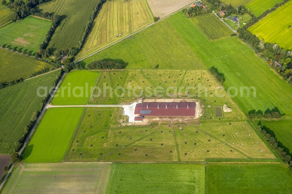 Aerial image Suddendorf - Stalled equipment for poultry farming and poultry production in Suddendorf in the state Lower Saxony, Germany