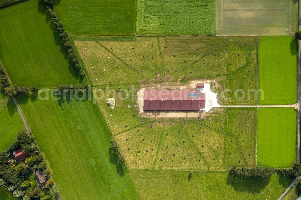 Suddendorf from above - Stalled equipment for poultry farming and poultry production in Suddendorf in the state Lower Saxony, Germany