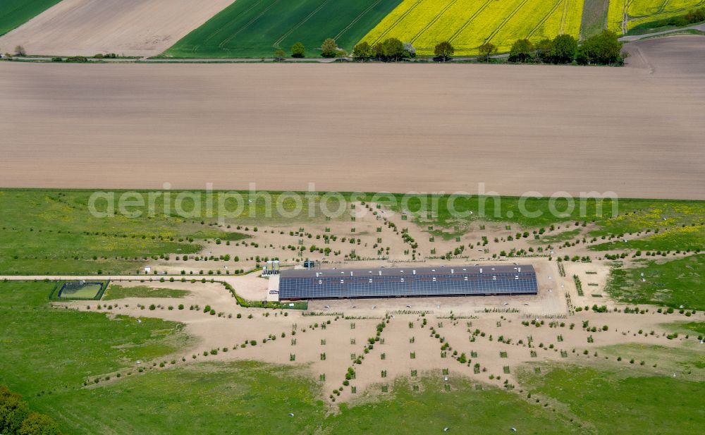 Wulfersdorf from above - Stalled equipment for poultry farming and poultry production on street Alter Eichenfelder Weg in Wulfersdorf in the state Brandenburg, Germany