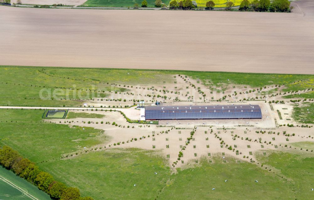 Wulfersdorf from the bird's eye view: Stalled equipment for poultry farming and poultry production on street Alter Eichenfelder Weg in Wulfersdorf in the state Brandenburg, Germany