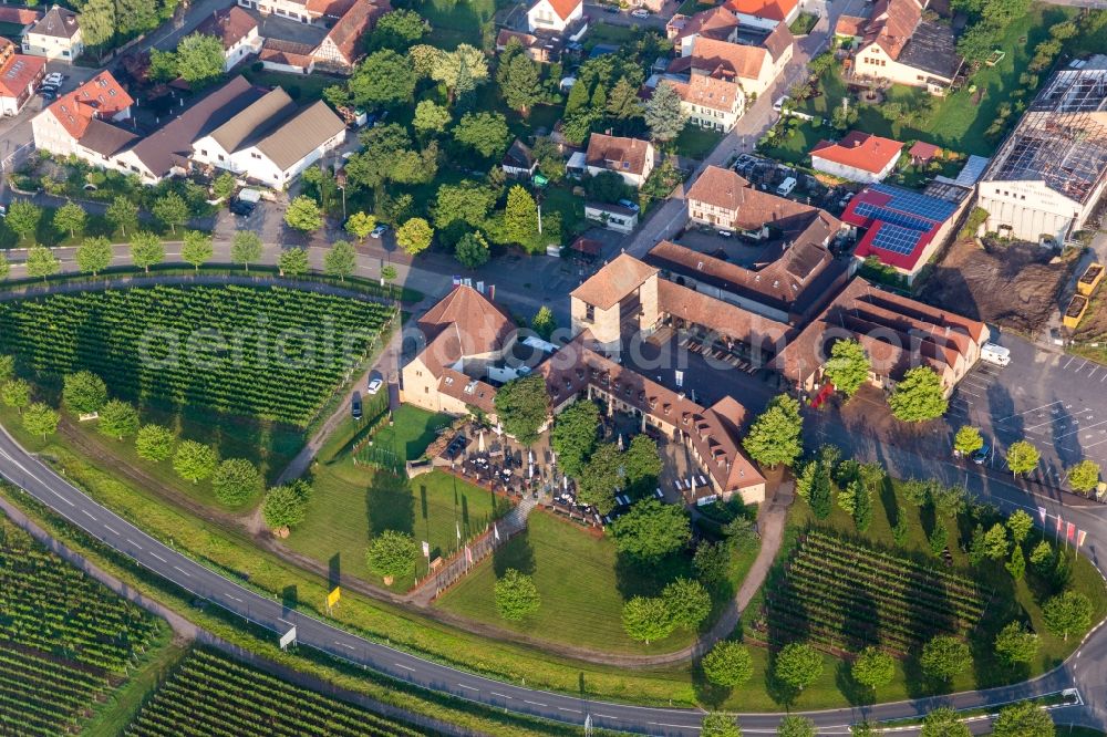 Schweigen from above - Tables and benches of open-air restaurants Deutsches Weintor Restaurant in Schweigen in the state Rhineland-Palatinate, Germany