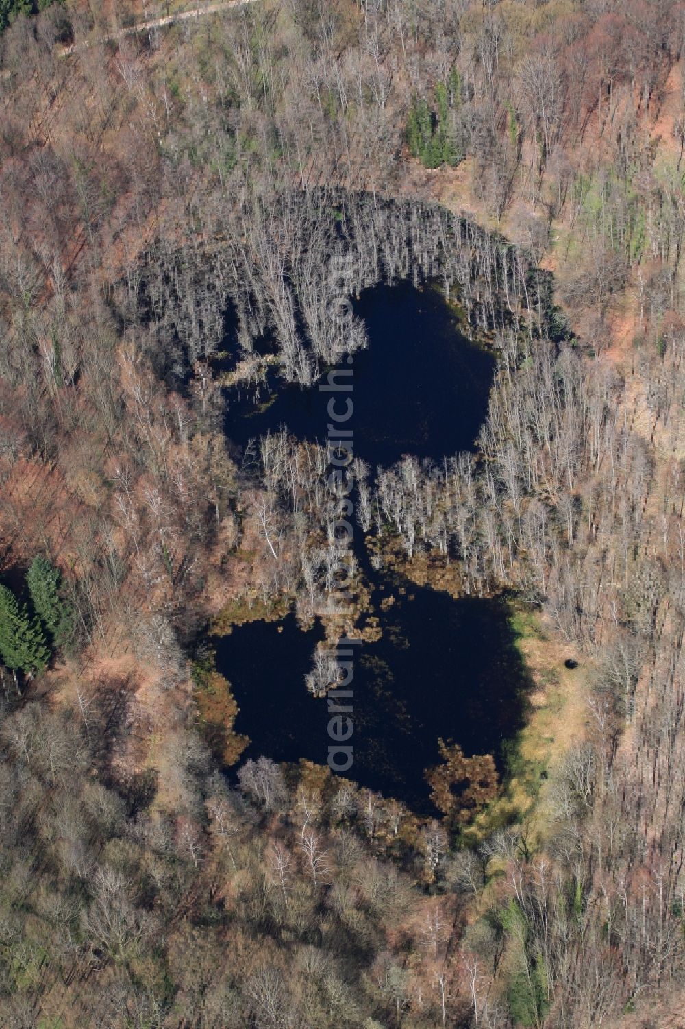 Aerial image Rheinfelden - Ponds and morast- water surface in a pond landscape of the nature reserve and conservation area in Rheinfelden in the canton Aargau, Switzerland