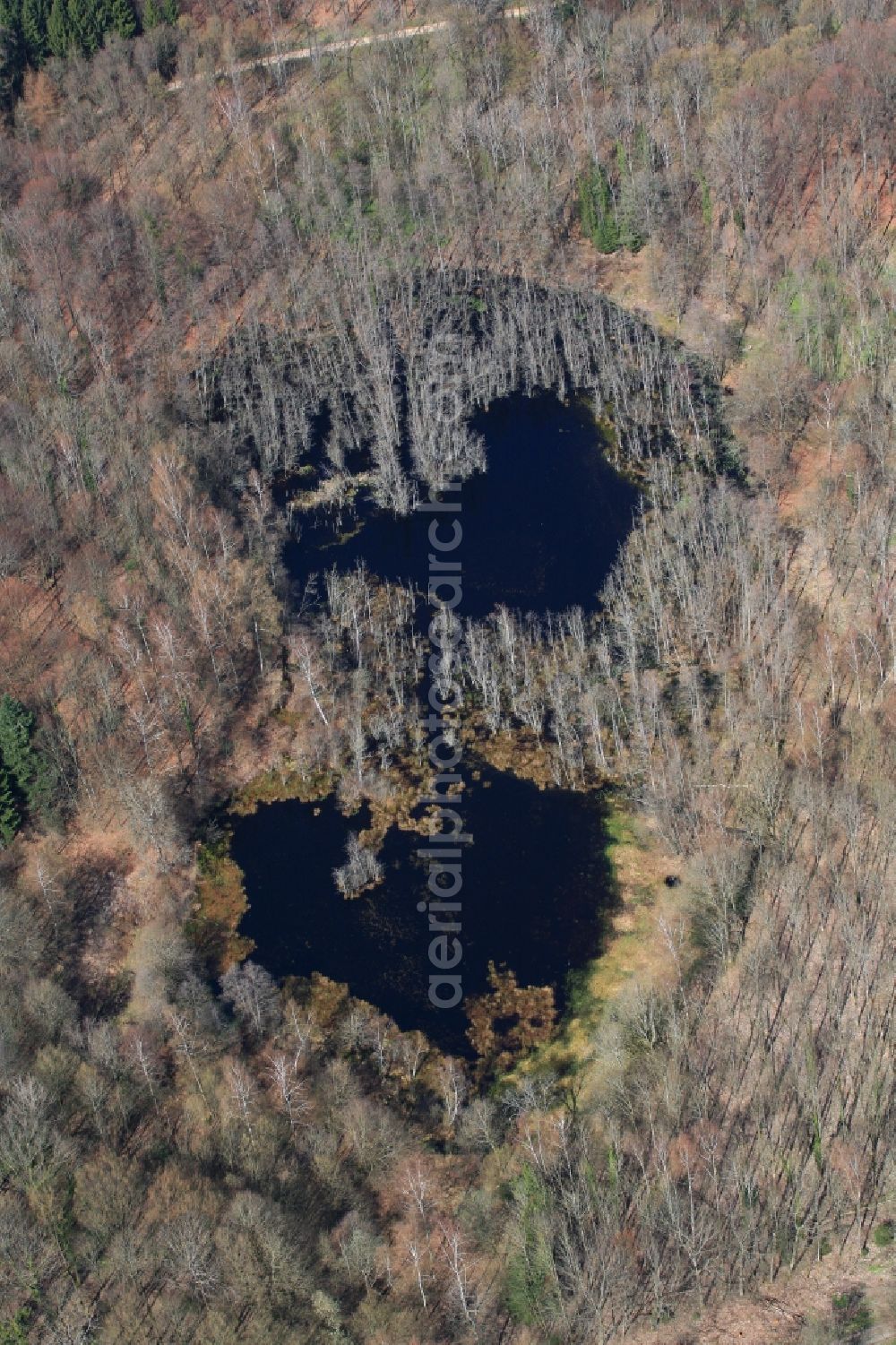 Aerial photograph Rheinfelden - Ponds and morast- water surface in a pond landscape of the nature reserve and conservation area in Rheinfelden in the canton Aargau, Switzerland