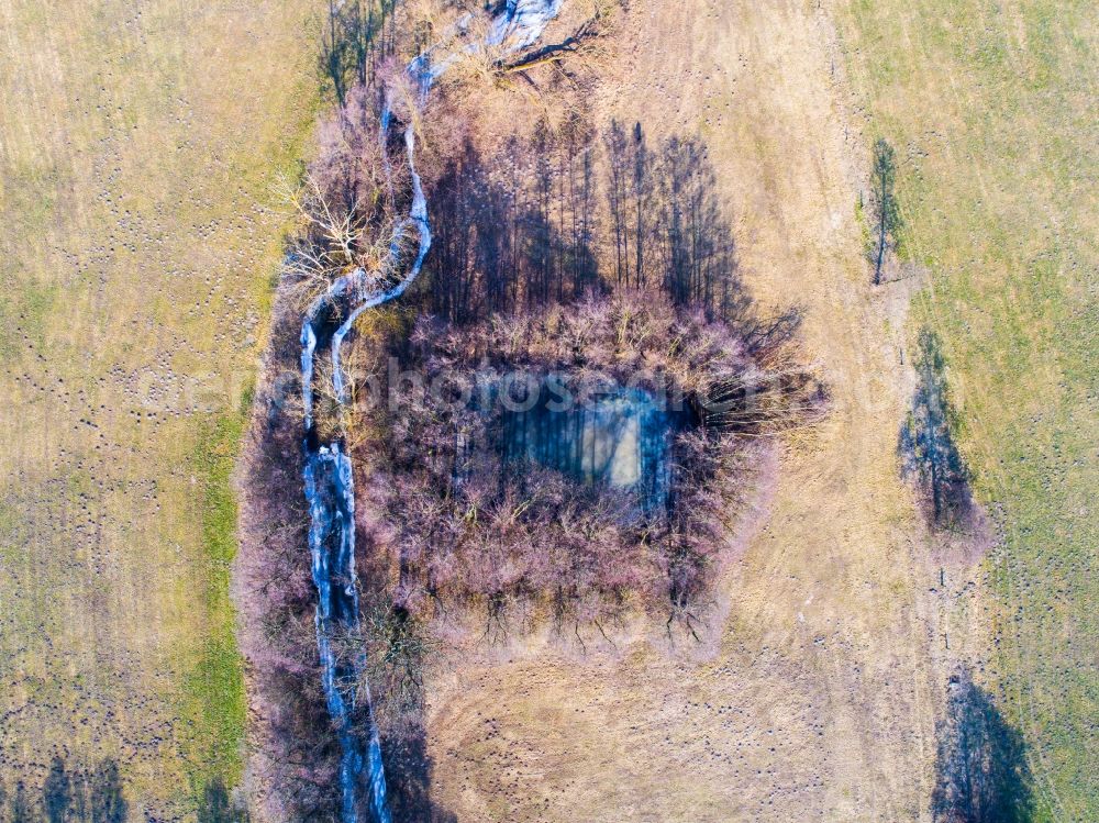 Aerial photograph Planetal - Ponds and Morast- water surface in a pond landscape in Planetal in the state Brandenburg, Germany