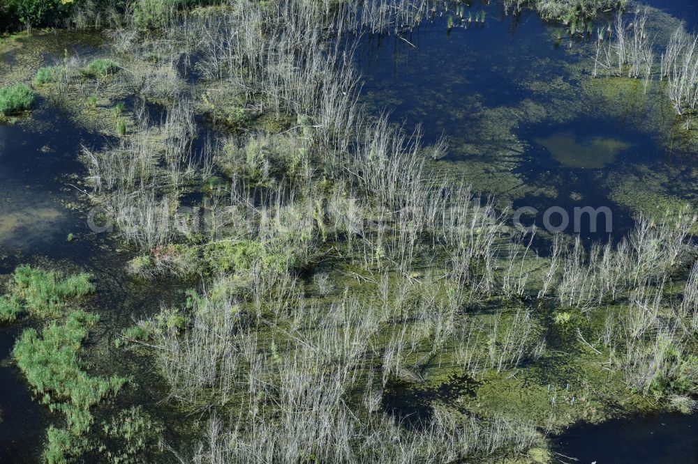Rötha from above - Ponds and Morast- water surface in a pond landscape in Roetha in the state Saxony