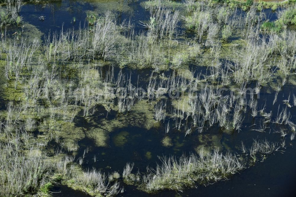 Rötha from the bird's eye view: Ponds and Morast- water surface in a pond landscape in Roetha in the state Saxony