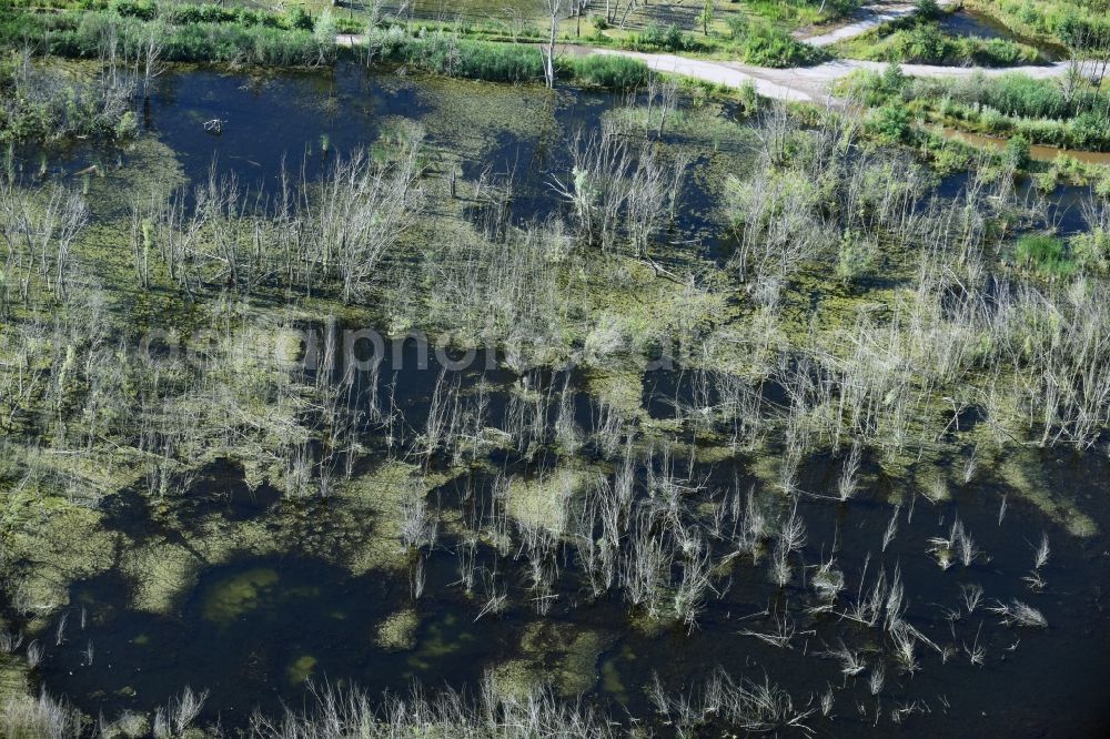 Aerial image Rötha - Ponds and Morast- water surface in a pond landscape in Roetha in the state Saxony