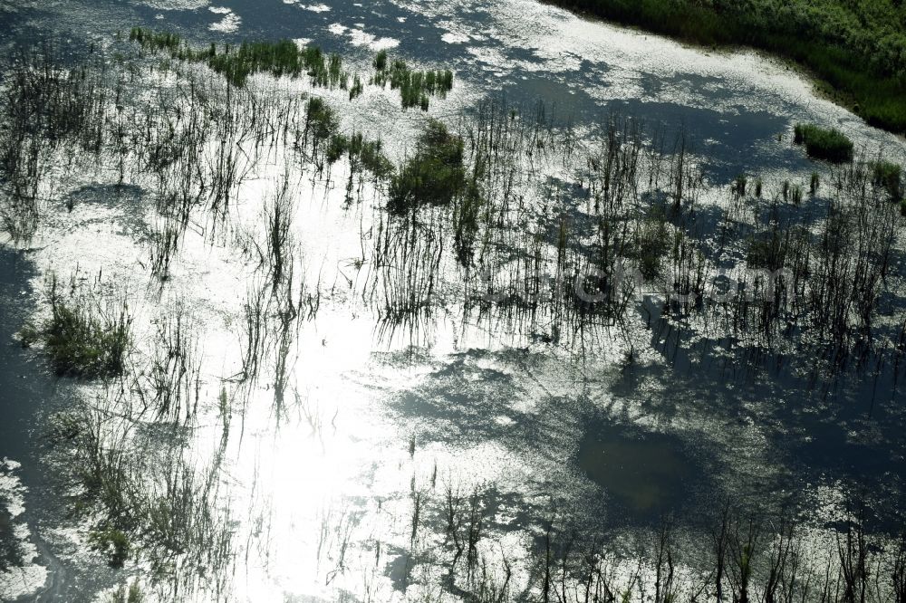 Rötha from above - Ponds and Morast- water surface in a pond landscape in Roetha in the state Saxony