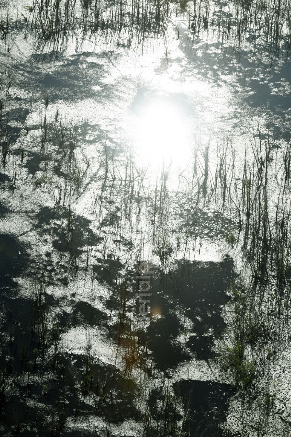 Rötha from the bird's eye view: Ponds and Morast- water surface in a pond landscape in Roetha in the state Saxony