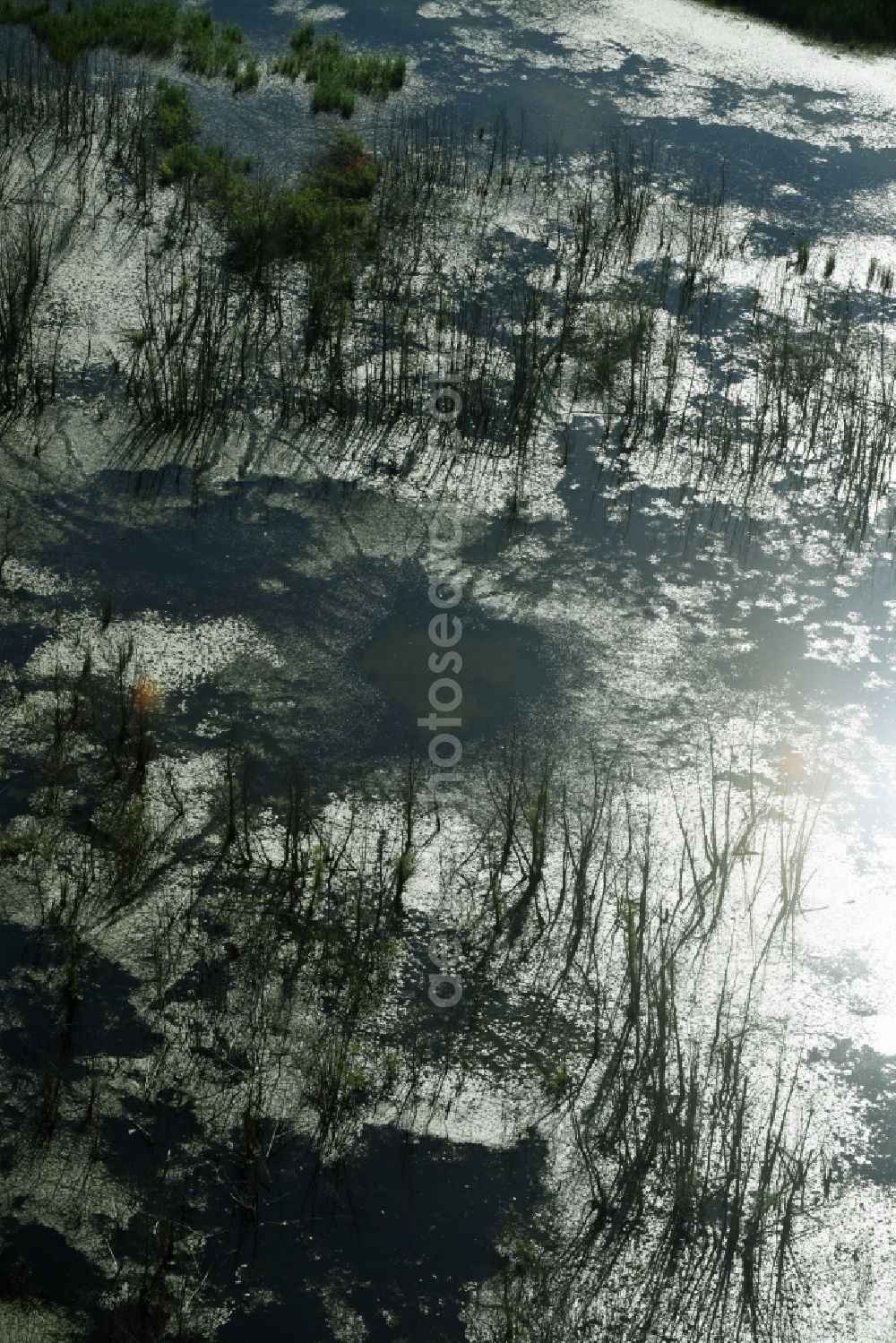 Aerial image Rötha - Ponds and Morast- water surface in a pond landscape in Roetha in the state Saxony
