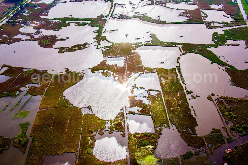 Massarosa from the bird's eye view: Ponds and Morast- water surface in a pond landscape of sweet water lagune in Massarosa in Toscana, Italy