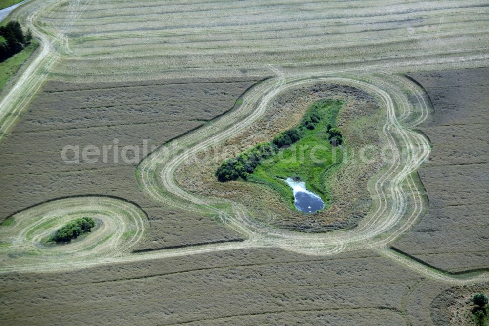 Broderstorf from above - Pool oases on harvested agricultural fields in Broderstorf in the state Mecklenburg - Western Pomerania