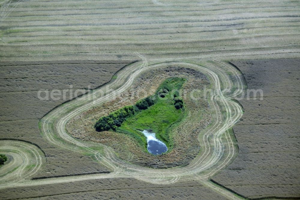 Broderstorf from the bird's eye view: Pool oases on harvested agricultural fields in Broderstorf in the state Mecklenburg - Western Pomerania