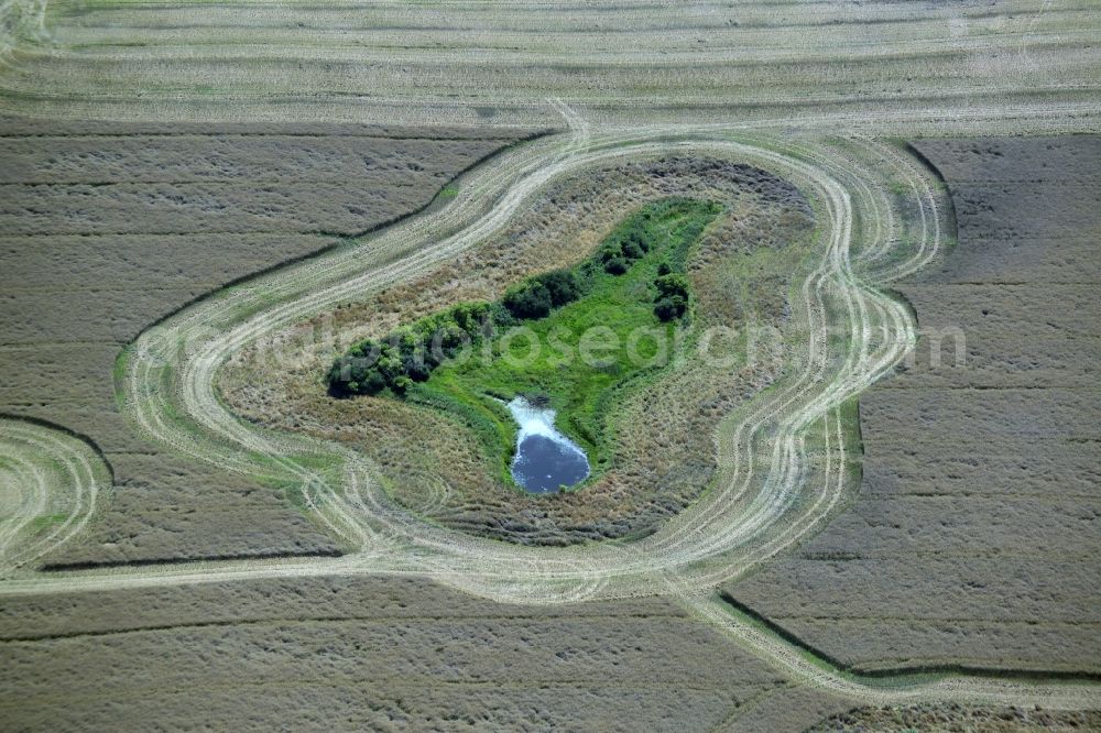 Aerial image Broderstorf - Pool oases on harvested agricultural fields in Broderstorf in the state Mecklenburg - Western Pomerania