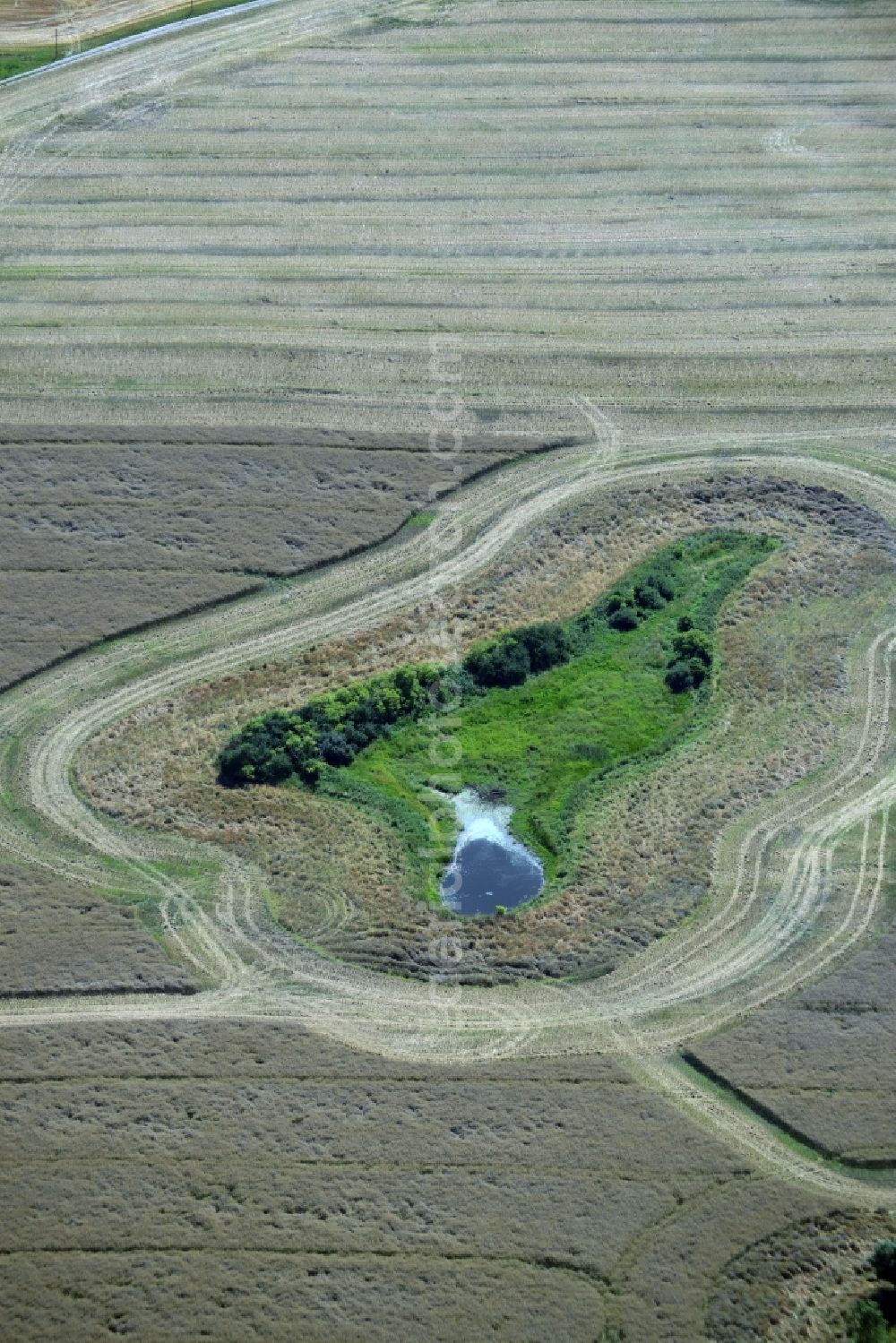 Aerial photograph Broderstorf - Pool oases on harvested agricultural fields in Broderstorf in the state Mecklenburg - Western Pomerania