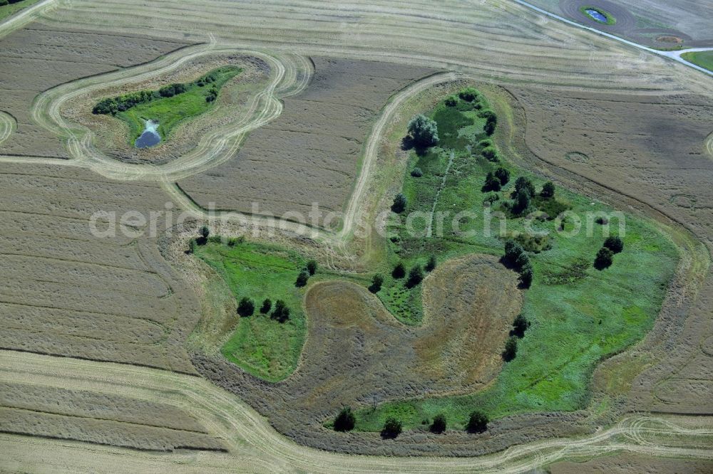 Broderstorf from above - Pool oases on harvested agricultural fields in Broderstorf in the state Mecklenburg - Western Pomerania