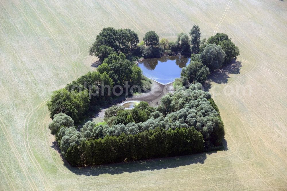 Aerial photograph Lindendorf - Pool oases on harvested agricultural fields in Lindendorf in the state Brandenburg