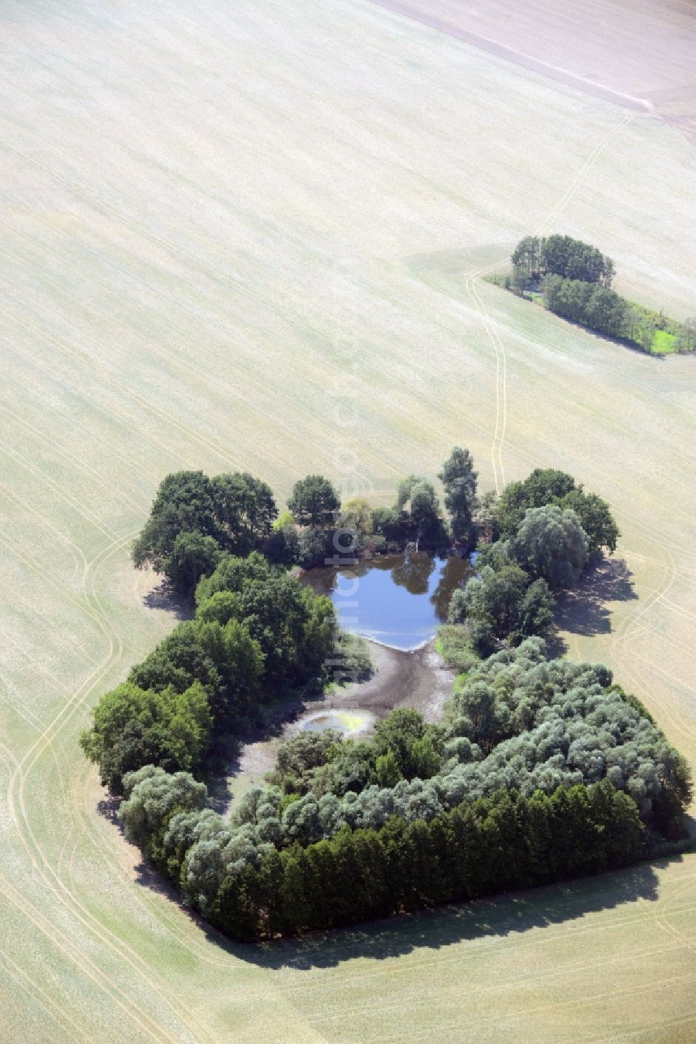 Lindendorf from above - Pool oases on harvested agricultural fields in Lindendorf in the state Brandenburg