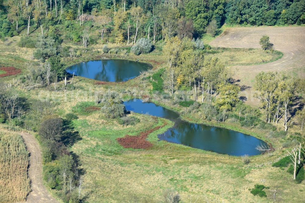 Aerial photograph Prötzel - Pool oases on harvested agricultural fields in Proetzel in the state Brandenburg, Germany