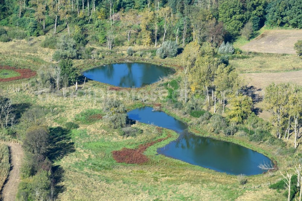 Prötzel from above - Pool oases on harvested agricultural fields in Proetzel in the state Brandenburg, Germany