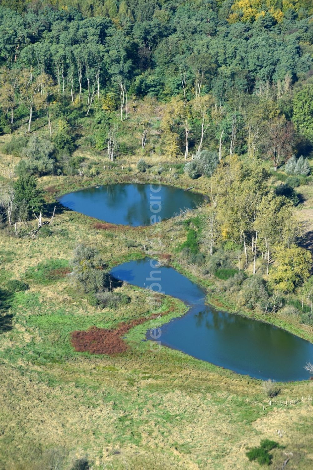 Prötzel from the bird's eye view: Pool oases on harvested agricultural fields in Proetzel in the state Brandenburg, Germany