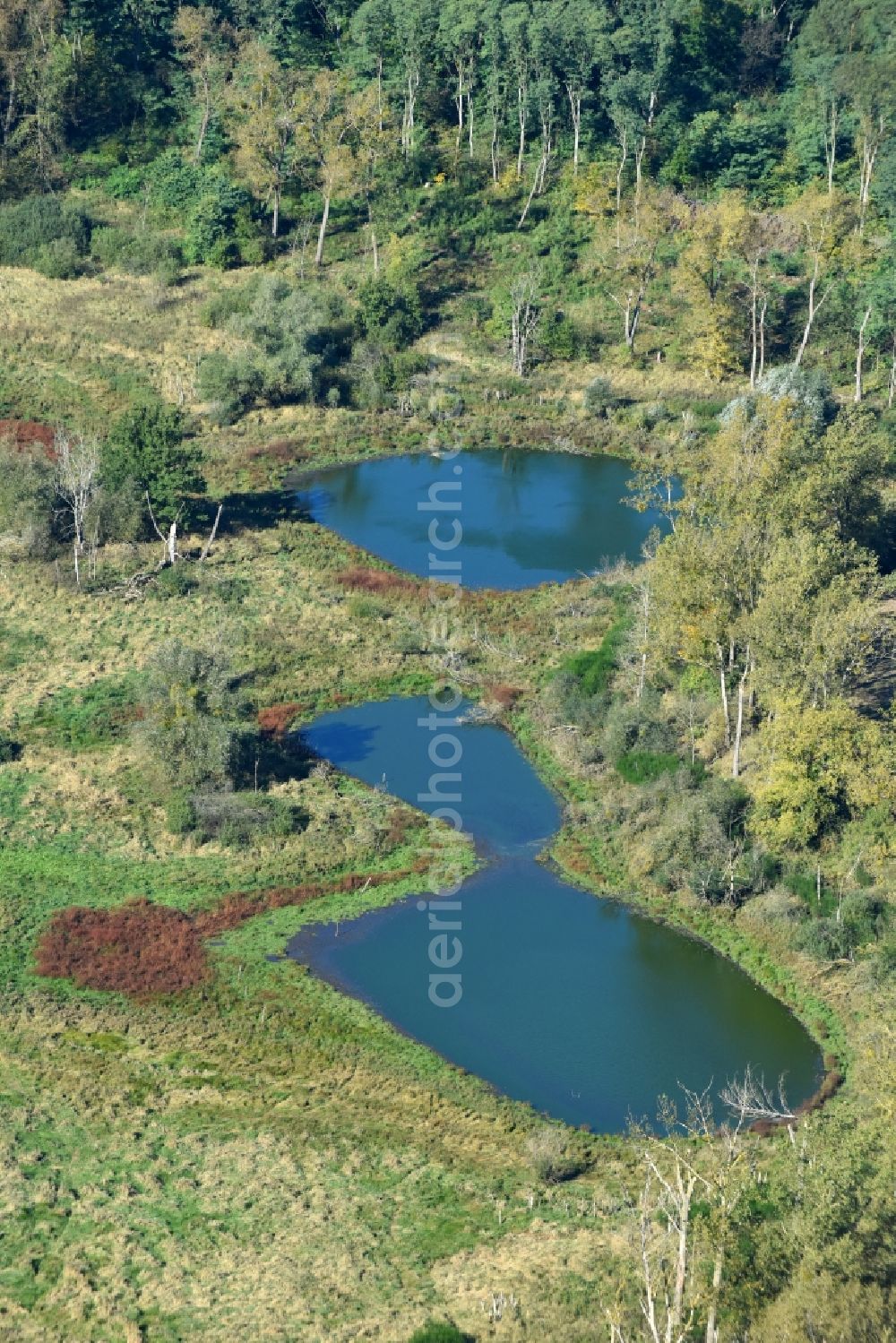 Aerial image Prötzel - Pool oases on harvested agricultural fields in Proetzel in the state Brandenburg, Germany