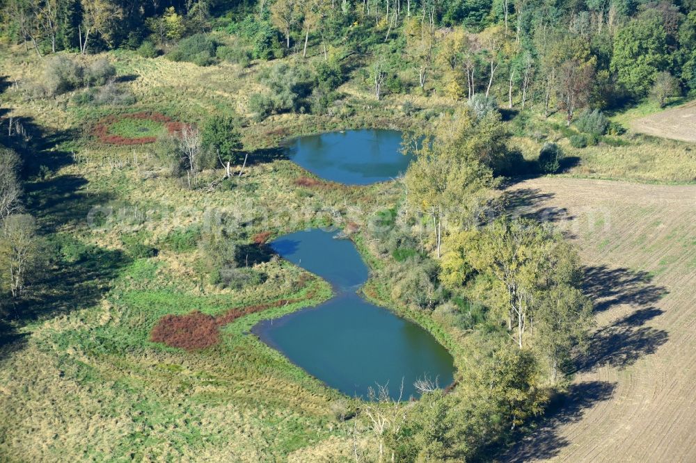 Aerial photograph Prötzel - Pool oases on harvested agricultural fields in Proetzel in the state Brandenburg, Germany