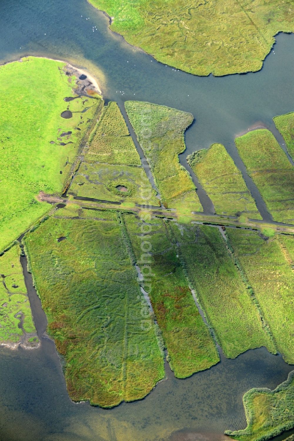 Aerial photograph Altenkrempe - Pool oases of the Neustaedter Binnenwasser on fields in Altenkrempe in the state Schleswig-Holstein