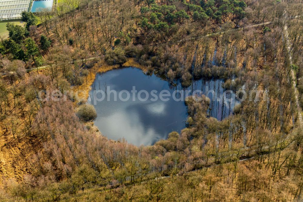 Aerial photograph Grafenwald - Pond water surface and pond oasis in a forest area near Grafenwald in the Ruhr area in the state of North Rhine-Westphalia, Germany