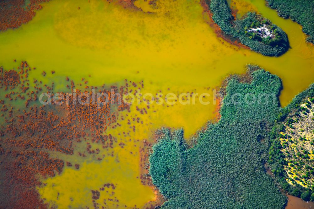 Schwarzheide from the bird's eye view: Pond water surface and pond oasis with brightly colored discharges from the nearby chemical industry and sediment deposits in Schwarzheide in the state of Brandenburg, Germany