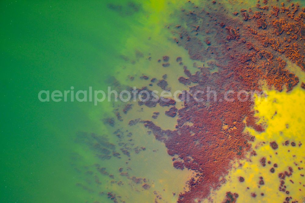 Aerial image Schwarzheide - Pond water surface and pond oasis with brightly colored discharges from the nearby chemical industry and sediment deposits in Schwarzheide in the state of Brandenburg, Germany