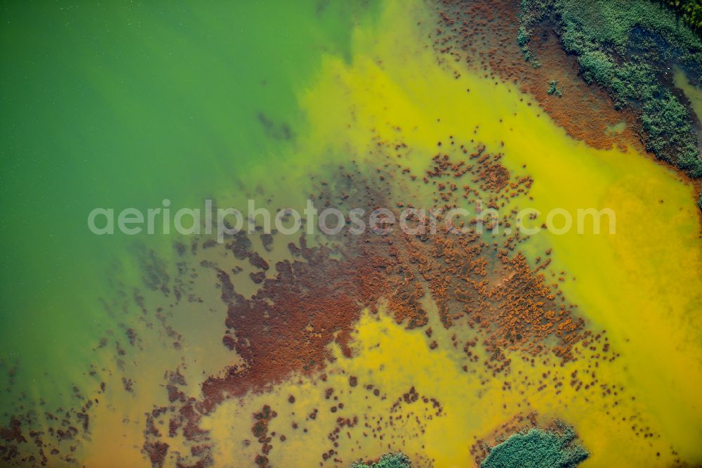 Aerial photograph Schwarzheide - Pond water surface and pond oasis with brightly colored discharges from the nearby chemical industry and sediment deposits in Schwarzheide in the state of Brandenburg, Germany