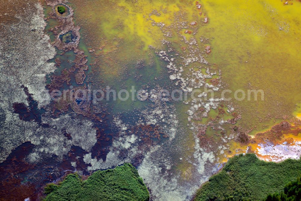 Schwarzheide from the bird's eye view: Pond water surface and pond oasis with brightly colored discharges from the nearby chemical industry and sediment deposits in Schwarzheide in the state of Brandenburg, Germany