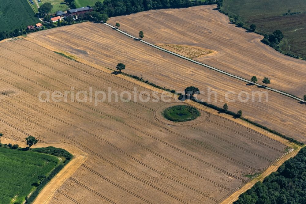 Kronsgaard from the bird's eye view: Pond water surface and pond oasis in a field between Golsmaas and Duettebuell in Kronsgaard in the state Schleswig-Holstein, Germany