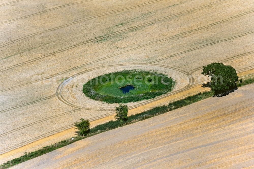 Aerial image Kronsgaard - Pond water surface and pond oasis in a field between Golsmaas and Duettebuell in Kronsgaard in the state Schleswig-Holstein, Germany