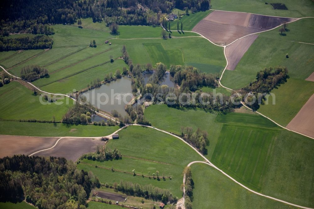 Aerial photograph Ellmosen - Pond water surface and pond oasis in Ellmosen in the state Bavaria, Germany