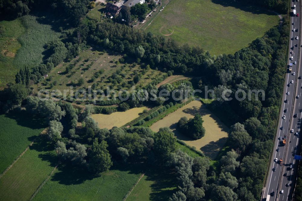 Braunschweig from above - Pond water surface and pond oasis on the river course of the Oker in Brunswick in the state Lower Saxony, Germany