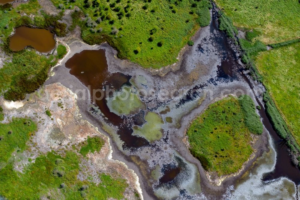 Aerial image Geltinger Birk - Pond water surface and pond oasis in Geltinger Birk in the state Schleswig-Holstein, Germany