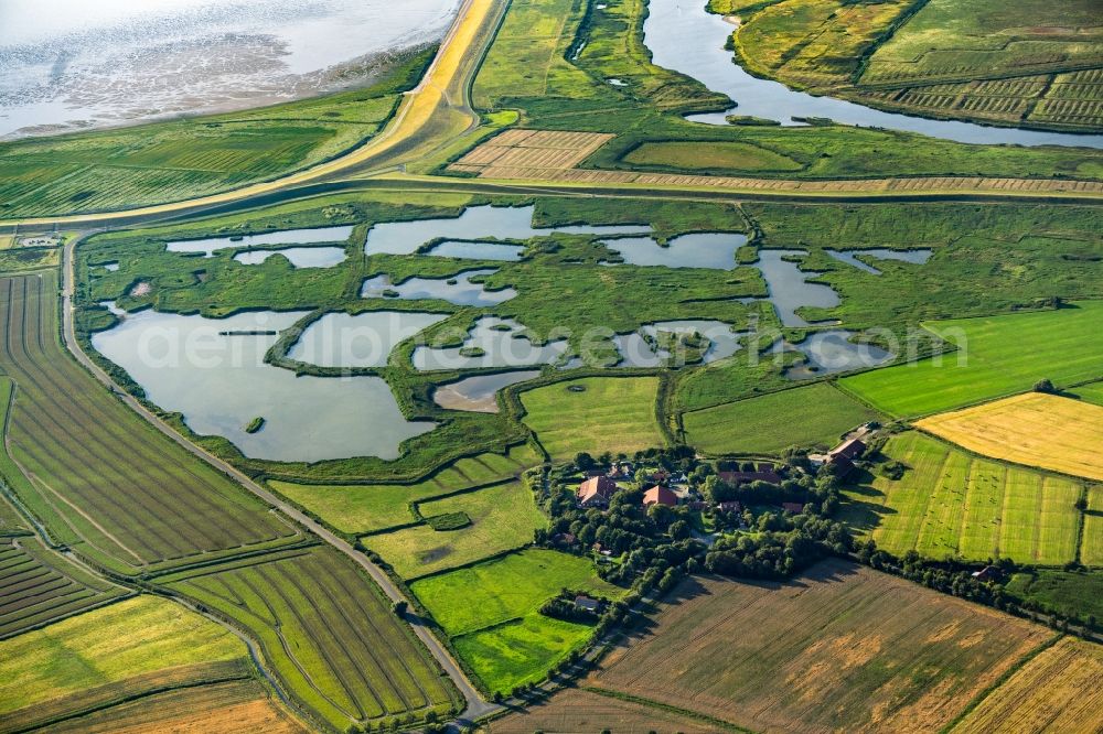 Aerial photograph Hauen - Pond water surface and pond oasis in Hauen in the state Lower Saxony, Germany