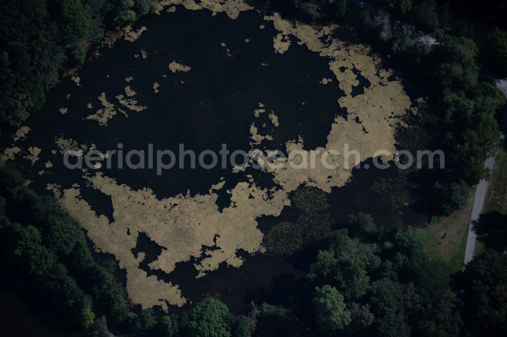 Braunschweig from above - Pond water surface and pond oasis Spielmannsteich along the course of the Oker in Brunswick in the state Lower Saxony, Germany