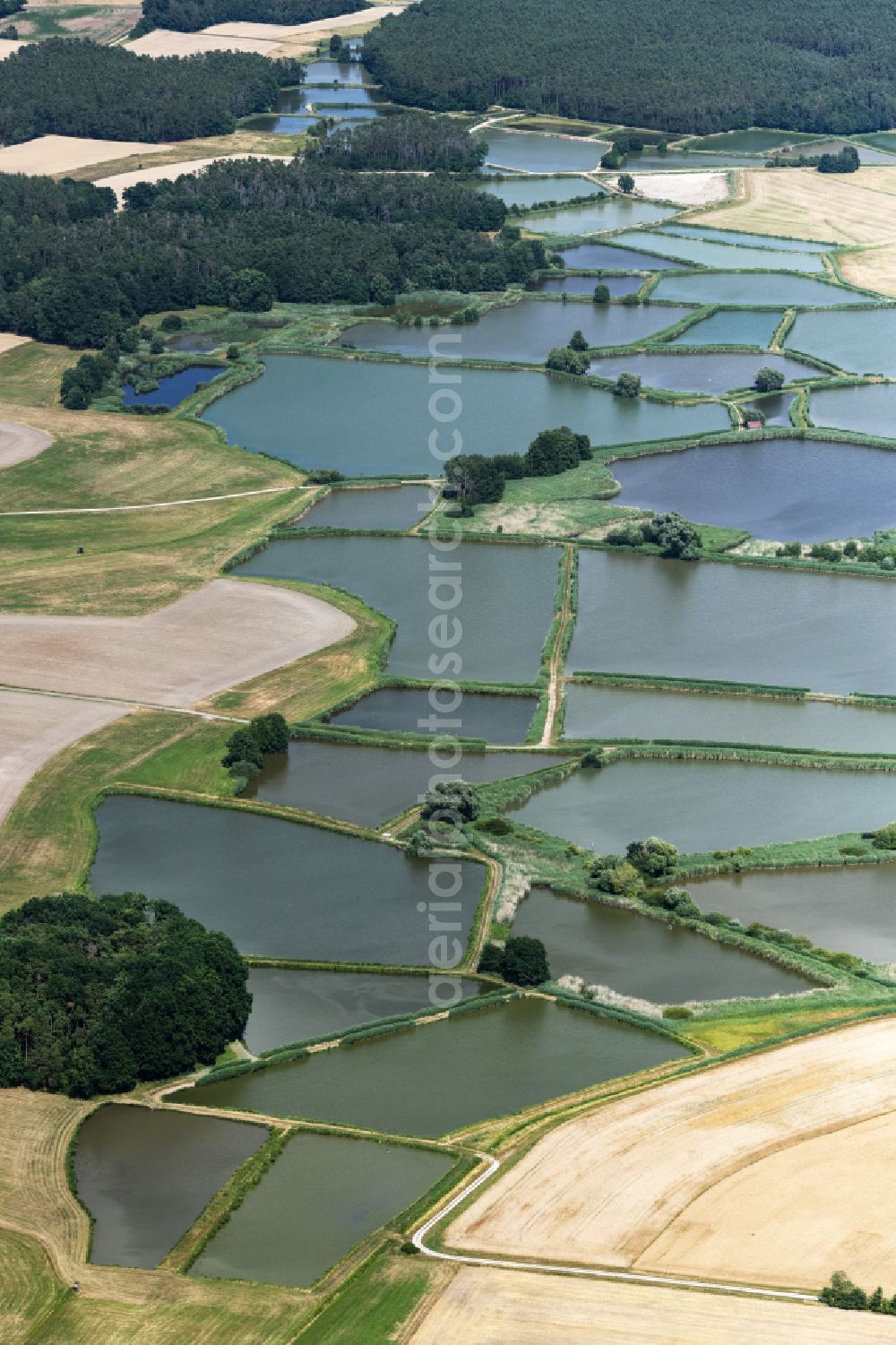 Aerial photograph Gremsdorf - Pond water surface and pond oasis Vogelfreistaette Weihergebiet bei Mohrhof in Gremsdorf in the state Bavaria, Germany