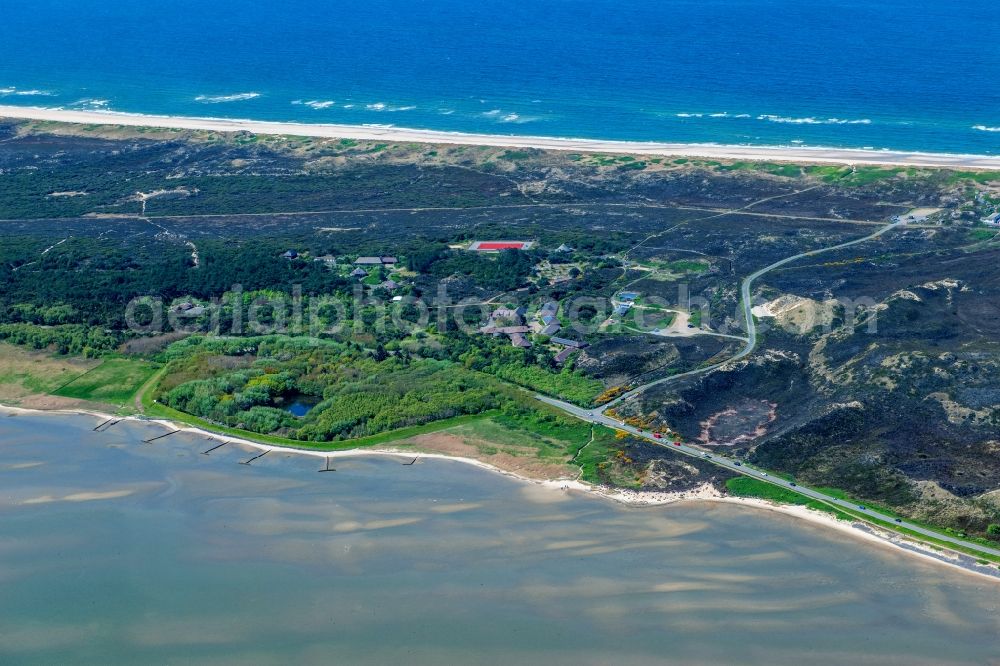 Aerial photograph Kampen (Sylt) - Pond water surface and pond oasis Vogelkoje in Kampen at the island Sylt in the state Schleswig-Holstein, Germany