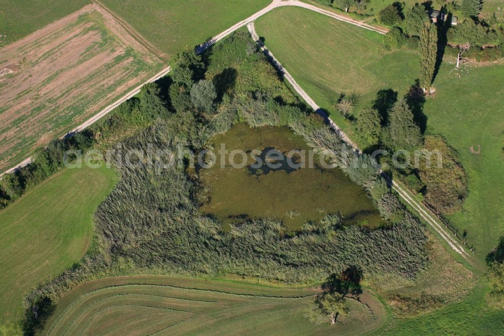 Rheinfelden (Baden) from above - Pond and biotope in Rheinfelden (Baden) in the state Baden-Wuerttemberg