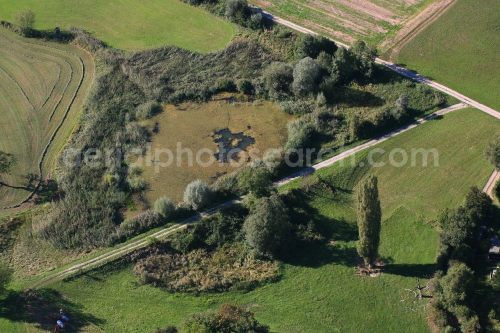 Rheinfelden (Baden) from the bird's eye view: Pond and biotope in Rheinfelden (Baden) in the state Baden-Wuerttemberg