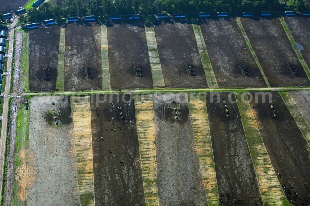 Neustadt-Glewe from the bird's eye view: Peat degradation on the moor fields in Neustadt-Glewe in the state Mecklenburg - Western Pomerania, Germany