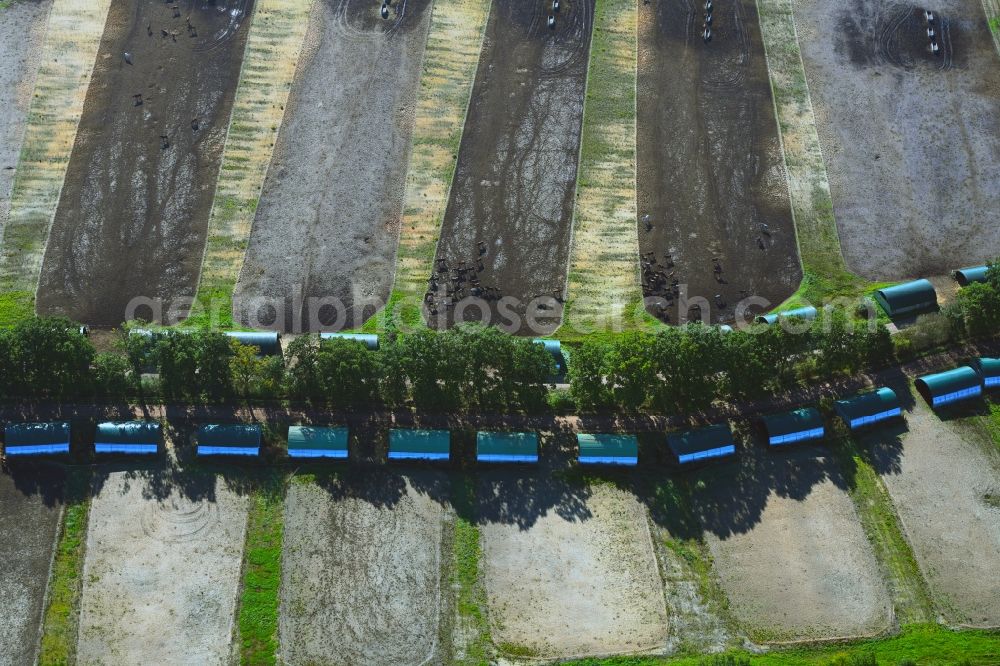 Aerial image Neustadt-Glewe - Peat degradation on the moor fields in Neustadt-Glewe in the state Mecklenburg - Western Pomerania, Germany