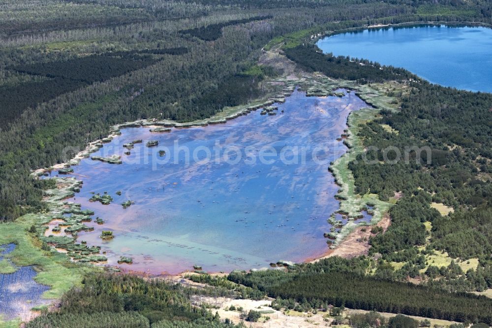 Sandersdorf-Brehna from above - Peat and bog deposits on Ludwigsee in Sandersdorf-Brehna in the state Saxony-Anhalt, Germany